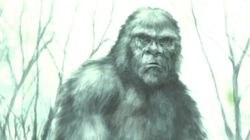 Boggy Creek Monster Boggy Creek Monster