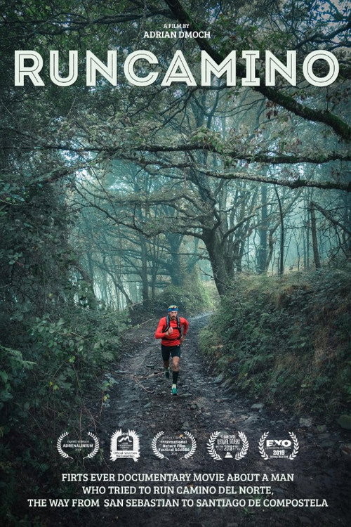 RunCamino