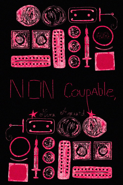 Póster oficial de Non coupable