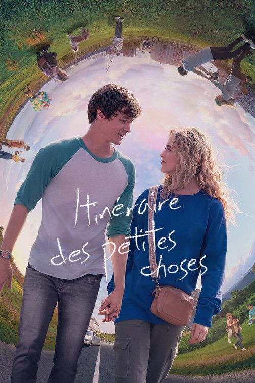 Affiche du film Itinéraire des petites choses