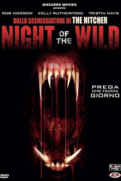 Night of the Wild poster