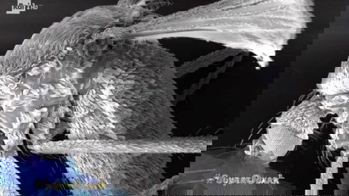 Image de l'épisode 3