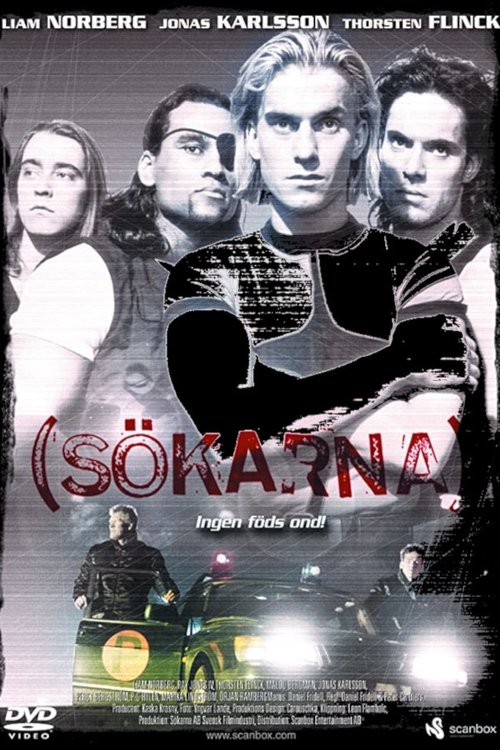 (Sökarna) poster