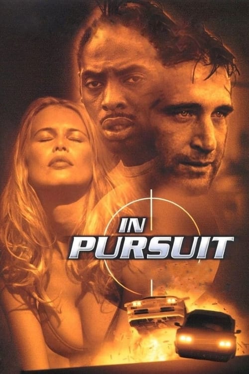 In Pursuit movie poster