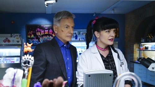 NCIS: Investigação Naval: 13×15