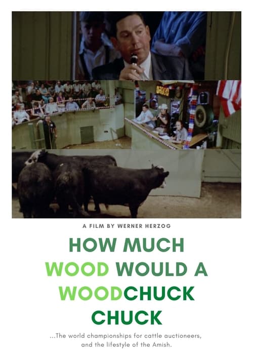 How Much Wood Would a Woodchuck Chuck: Beobachtungen zu einer neuen Sprache (1976) poster