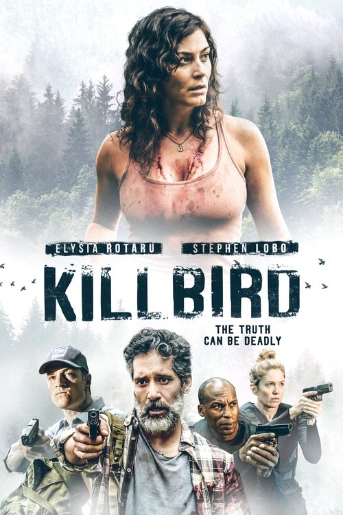 Killbird poster