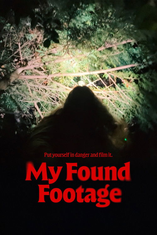 My Found Footage poster
