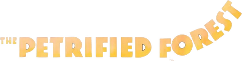 The Petrified Forest