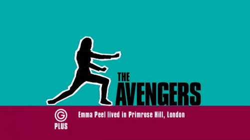 Did you know? (8) The Hidden Tiger (s05e8)