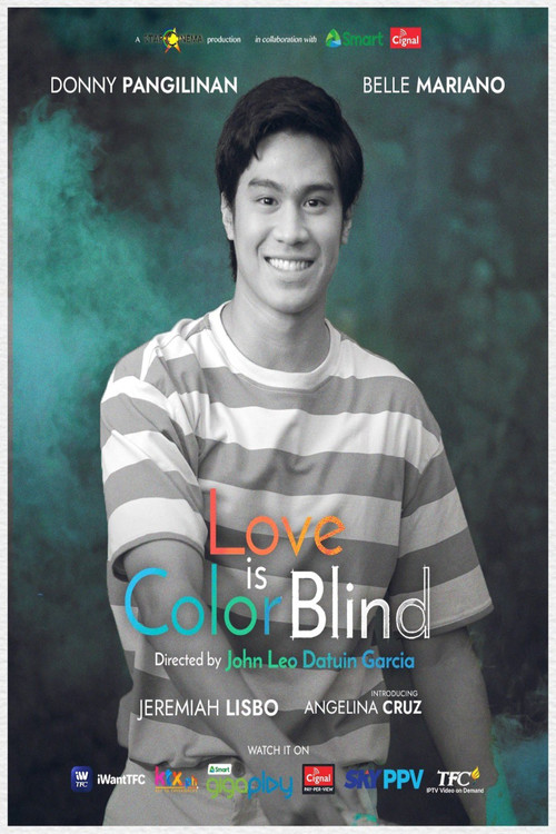 Love Is Color Blind poster