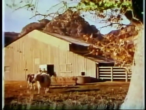 Image de l'épisode 6