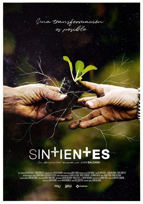 Sintientes movie poster player