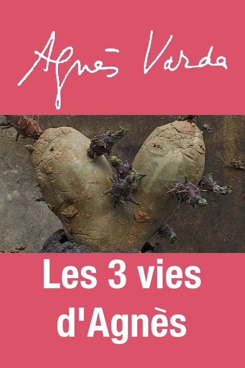 Les 3 vies d'Agnès (2012)