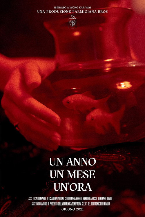 Un anno, un mese, un'ora