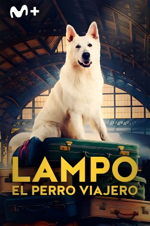 Lampo, el perro viajero