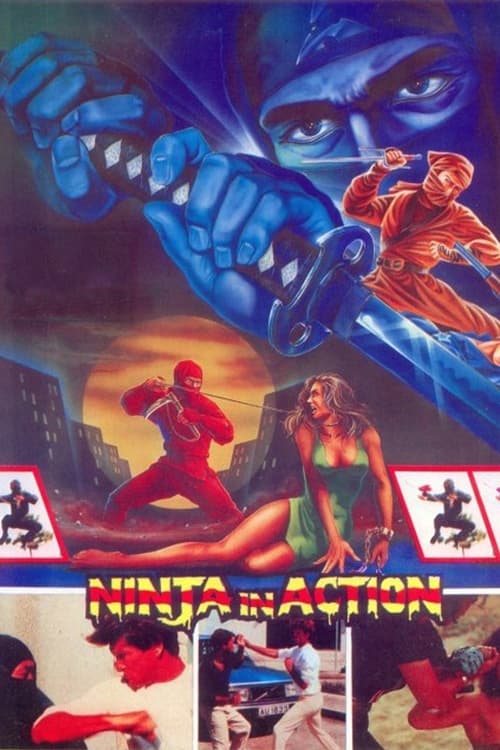 Ninja in Action (1987) poster