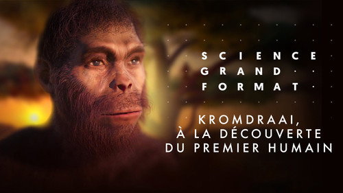 Image Kromdraai, à la découverte du premier humain