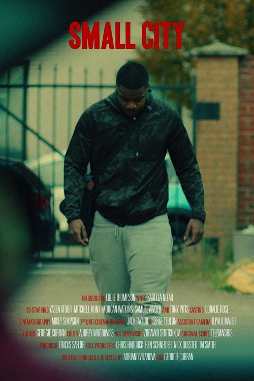 Poster 3