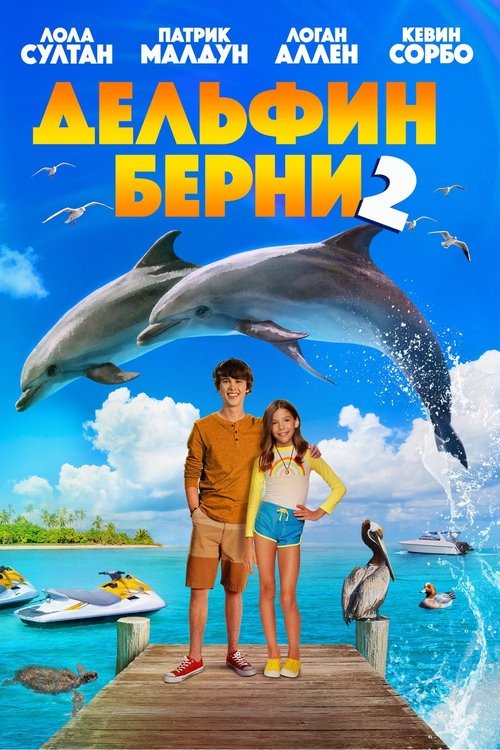 Дельфин Берни 2 (2020)