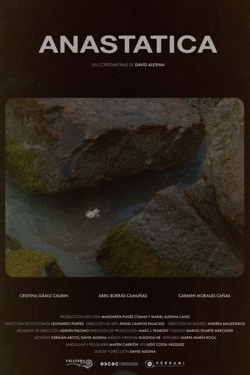 Anastatica poster
