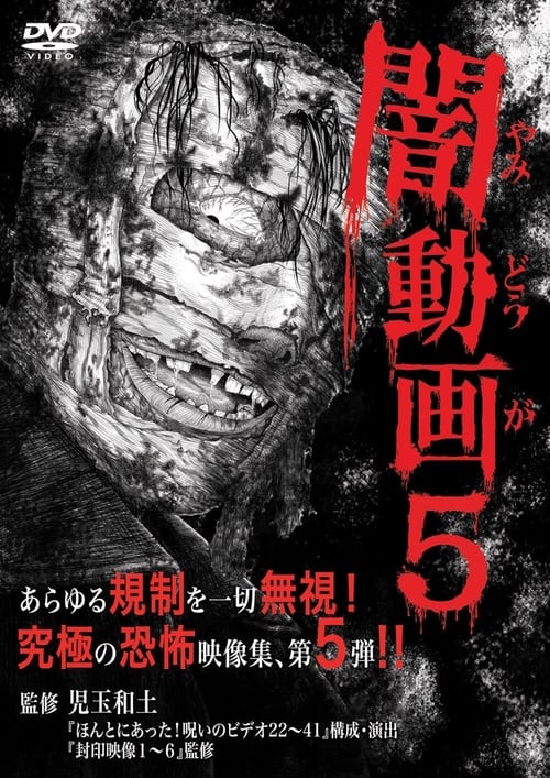 闇動画5 (2013)