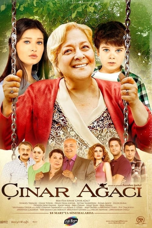 Çınar Ağacı poster