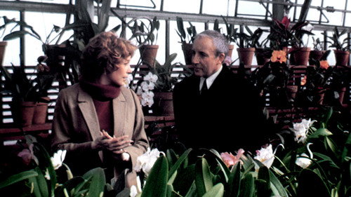 Image du film