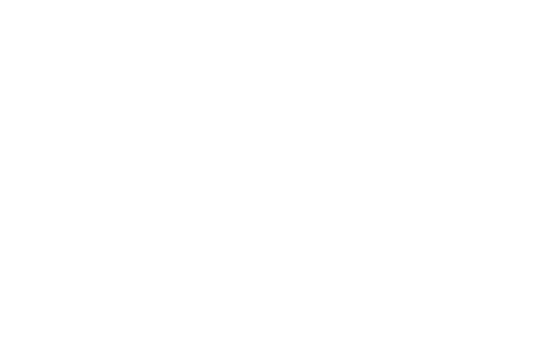 The Bookshop
