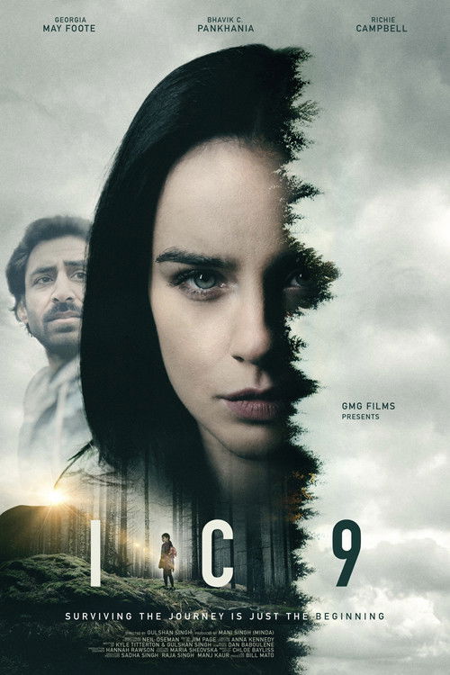 IC9 film afişi