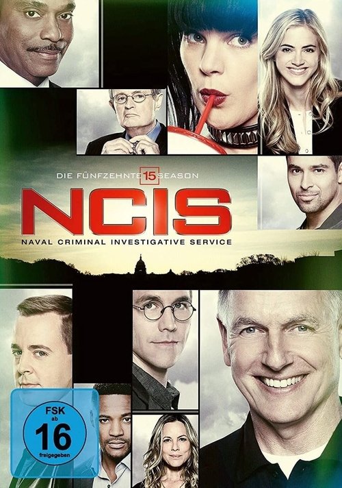 Staffelposter Staffel 15