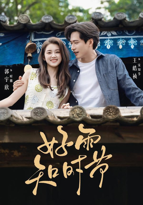 好雨知时节 poster