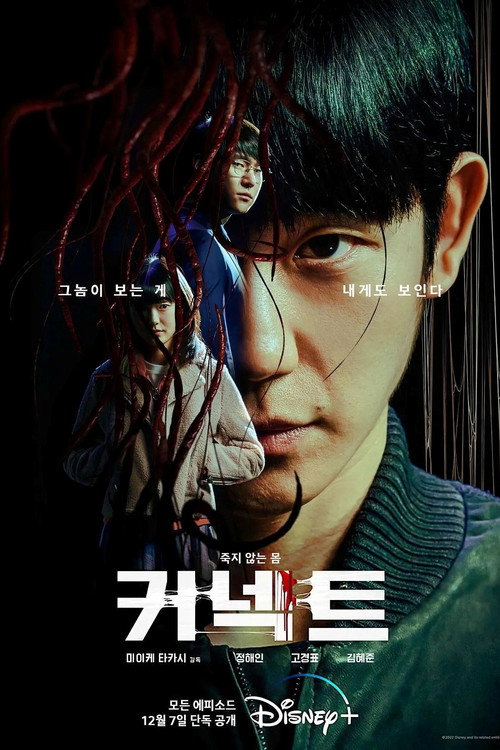 Poster (Koreanisch)