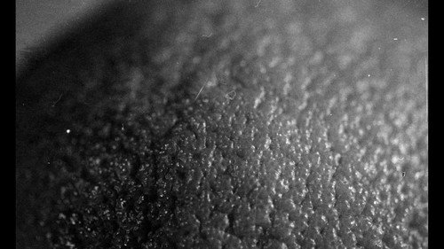 Obscura Backdrop Blur