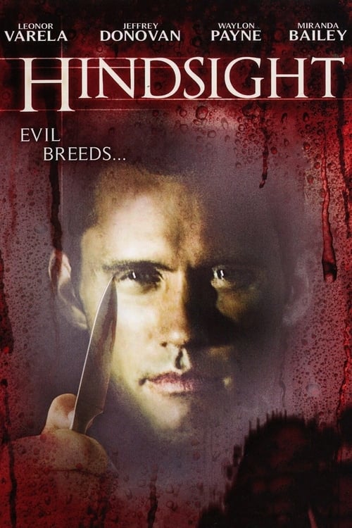 Hindsight poster