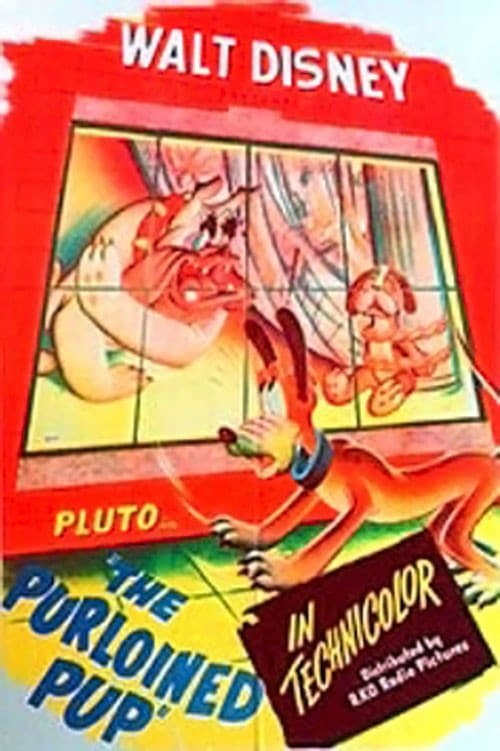 Il cucciolo rapito movie poster player