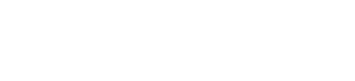 The Curious Case of Dolphin Bay