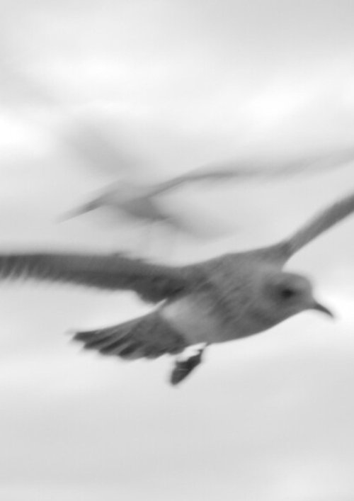 In Mist or Cloud poster