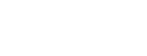 De Ladrón a Policía