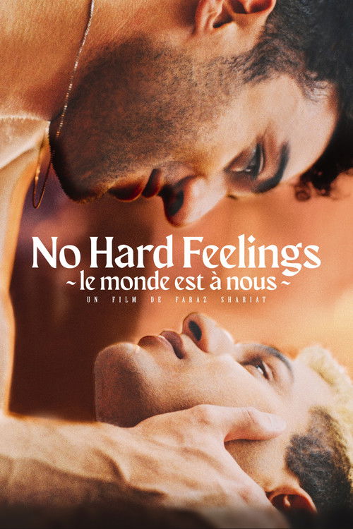 No Hard Feelings poster