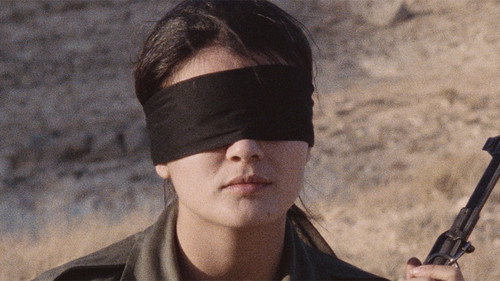 Leila and the Wolves