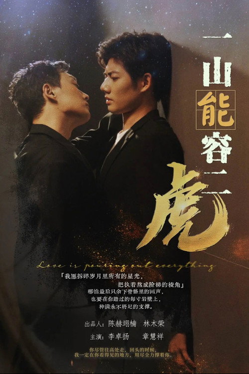 一山能容二虎 poster