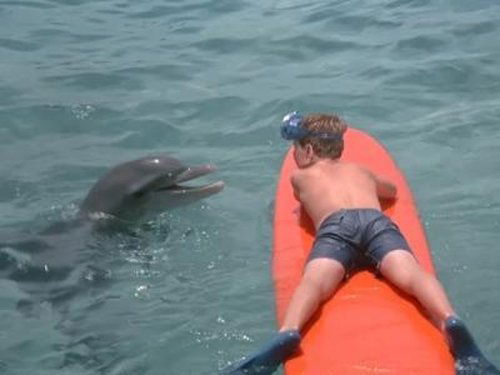 Flipper, S01E04 - (1964)