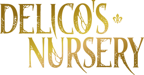 Delico's Nursery