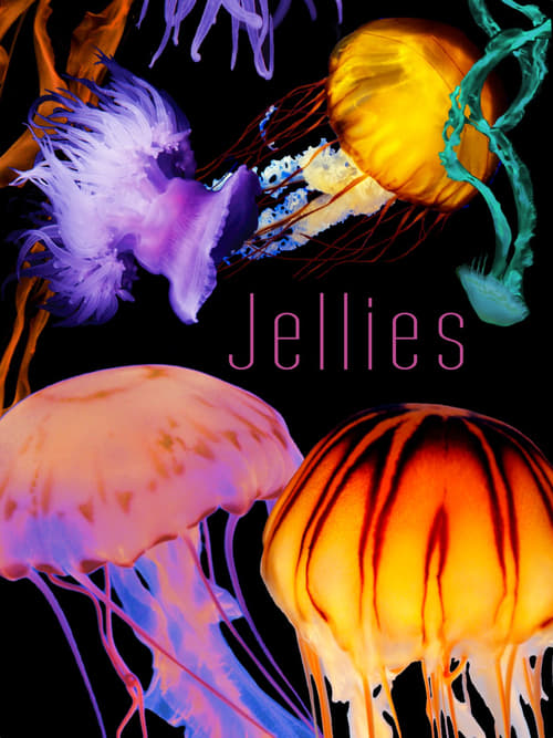 The Art of Nature: Jellies (2006) Poster