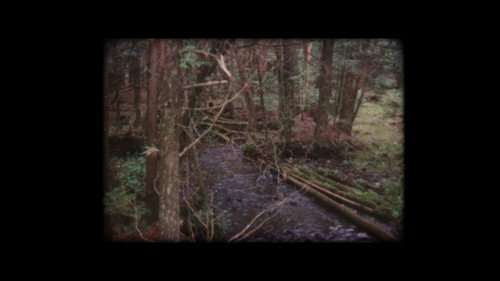 Remembrance of a Summer from an Etobicoke Hotel
