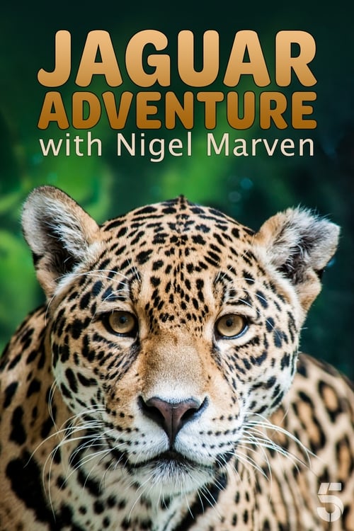 Poster Jaguar Adventure With Nigel Marven