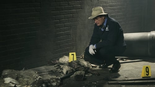 NCIS: Investigação Naval: 4×19