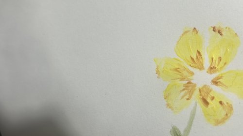 Flowers November-February