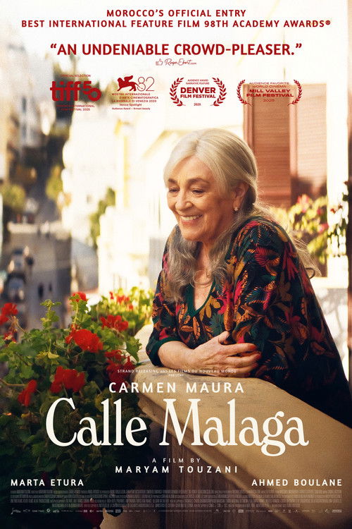 Calle Málaga poster